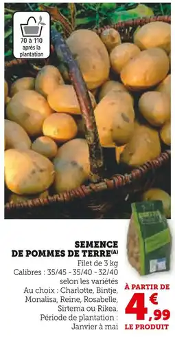 Hyper U Semence de pommes de terre offre