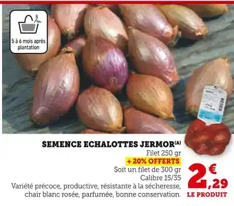 Hyper U Semence échalottes jermor offre