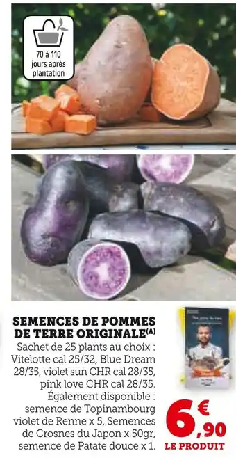 Hyper U Semences de pommes de terre originale offre