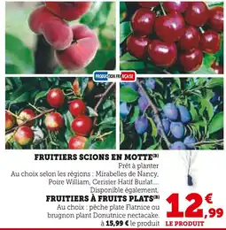 Super U PRODUCTION FRANÇAISE FRUITIERS SCIONS EN MOTTE(B), FRUITIERS À FRUITS PLATS(B) offre