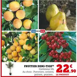 Super U Fruitier demi-tige offre