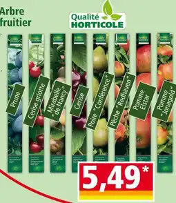 Norma Arbre fruitier offre