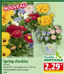 Norma Spring checkies trio mix offre