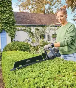 Gamm vert Taille-haies à batterie offre