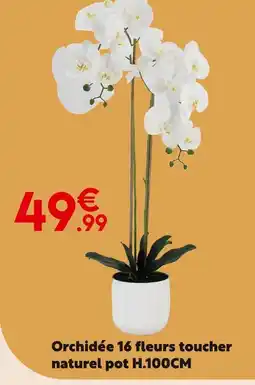 Maxi Bazar Orchidée offre