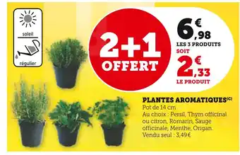 Super U Plantes aromatiques offre