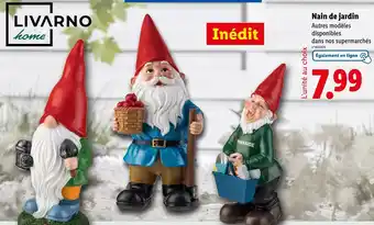 Lidl Nain de jardin offre