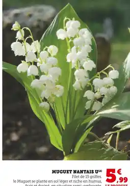 Super U Muguet Nantais offre