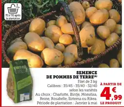 Super U Semence de pommes de terre offre