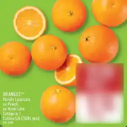 ALDI Oranges offre