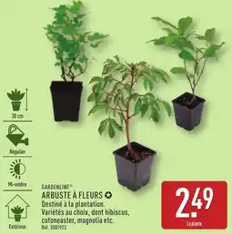 ALDI Gardenline arbuste à fleurs offre