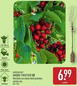 ALDI Gardenline arbre fruitier offre