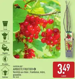 ALDI Gardenline arbuste fruitier offre