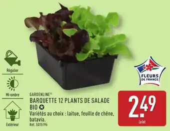 ALDI Gardenline barquette 12 plants de salade bio offre