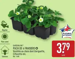 ALDI Gardenline pack de 6 fraisiers offre