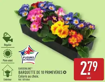 ALDI Gardenline barquette de 10 primevères offre