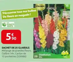 Rural Master Sachet de 25 glaieuls offre