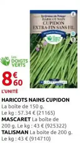 Rural Master HARICOTS NAINS CUPIDON offre