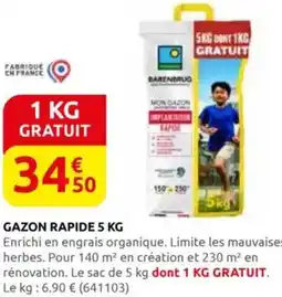 Rural Master Gazon rapide offre