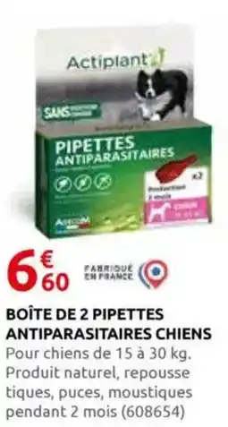 Rural Master Boîte de 2 pipettes antiparasitaires chiens offre