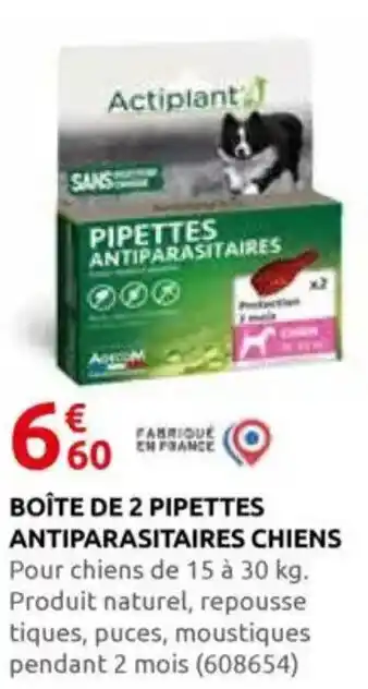 Rural Master Boîte de 2 pipettes antiparasitaires chiens offre