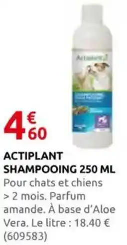 Rural Master Actiplant shampooing offre