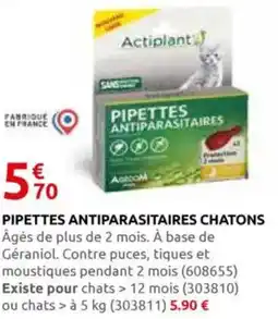 Rural Master Pipettes antiparasitaires chatons offre