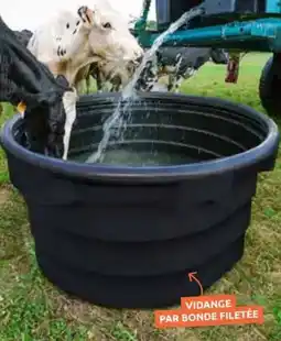 Rural Master Bac d'abreuvement bovins et chevaux offre