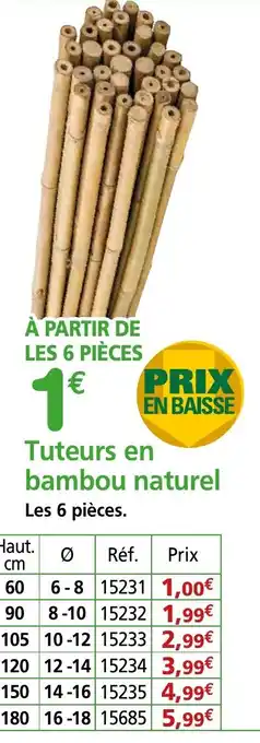 Provence Outillage Tuteurs en bambou naturel offre