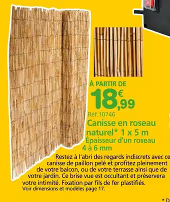 Provence Outillage WERKA PRO Canisse en roseau naturel* 1 x 5m Épaisseur d'un roseau 4 à 6 mm offre