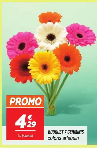 Netto Bouquet 7 germinis offre