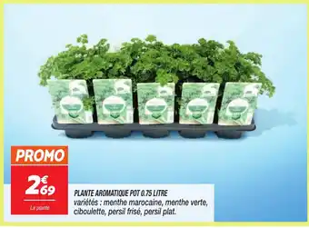 Netto Plante aromatique offre