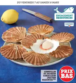 Hyper U Coquilles st jacques coraillées pecten maximus offre