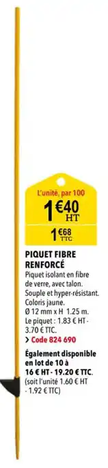 RAGT Jardin & Maison Piquet fibre renforcé offre