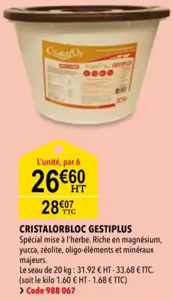 RAGT Jardin & Maison Cristalorbloc gestiplus offre