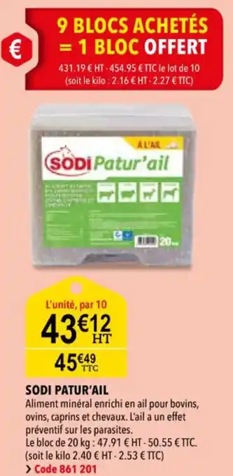 RAGT Jardin & Maison Sodi patur'ail offre