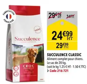 RAGT Jardin & Maison Succulence classic offre