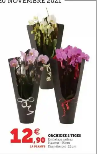 Super U Orchidée 2 Tiges offre