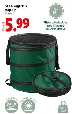 Lidl Sac à végétaux pop-up offre