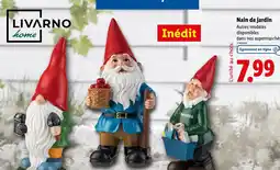 Lidl LIVARNO HOME Nain de jardin offre