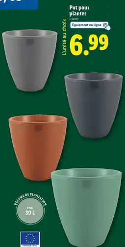 Lidl Pot pour plantes offre