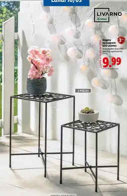 Lidl LIVARNO HOME Étagère ou supports pour plantes offre