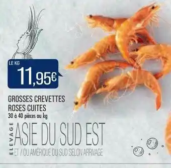 Match Grosses Crevettes Roses Cuites offre