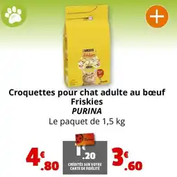 Coccinelle Express Croquettes pour chat adulte au bœuf Friskies PURINA offre