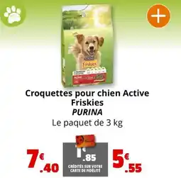 Coccinelle Express Croquettes pour chien Active Friskies PURINA offre