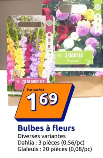 Action Bulbes à fleurs offre