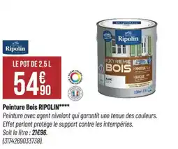 Bricorama Peinture Bois RIPOLIN offre