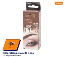 Action Coloration à sourcils Delia offre