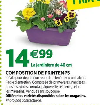 Jardineries du terroir Composition de printemps offre