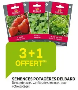 Jardineries du terroir Delbard Semences potagères offre